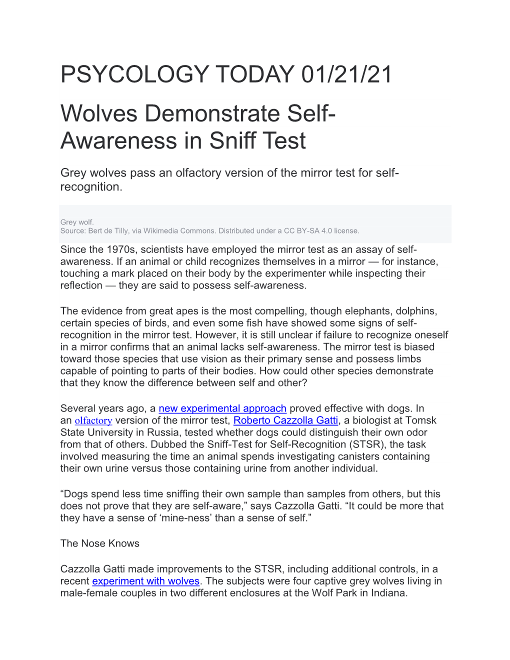 PSYCOLOGY TODAY 01/21/21 Wolves Demonstrate Self- Awareness in Sniff Test