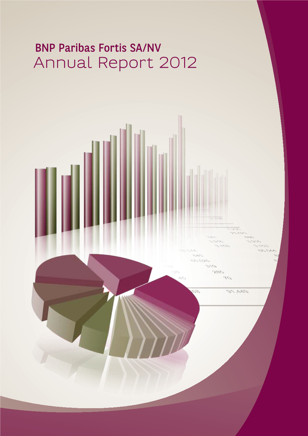 BNP Paribas Fortis Sa/NV | Annual Report 2012 Annual Report 2012 BNP Paribas Fortis Sa/NV
