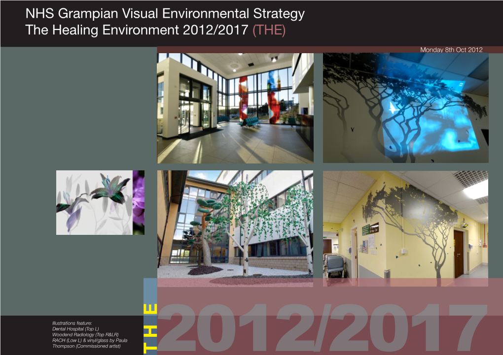 NHS Grampian Visual Environmental Strategy the Healing Environment 2012/2017 (THE)