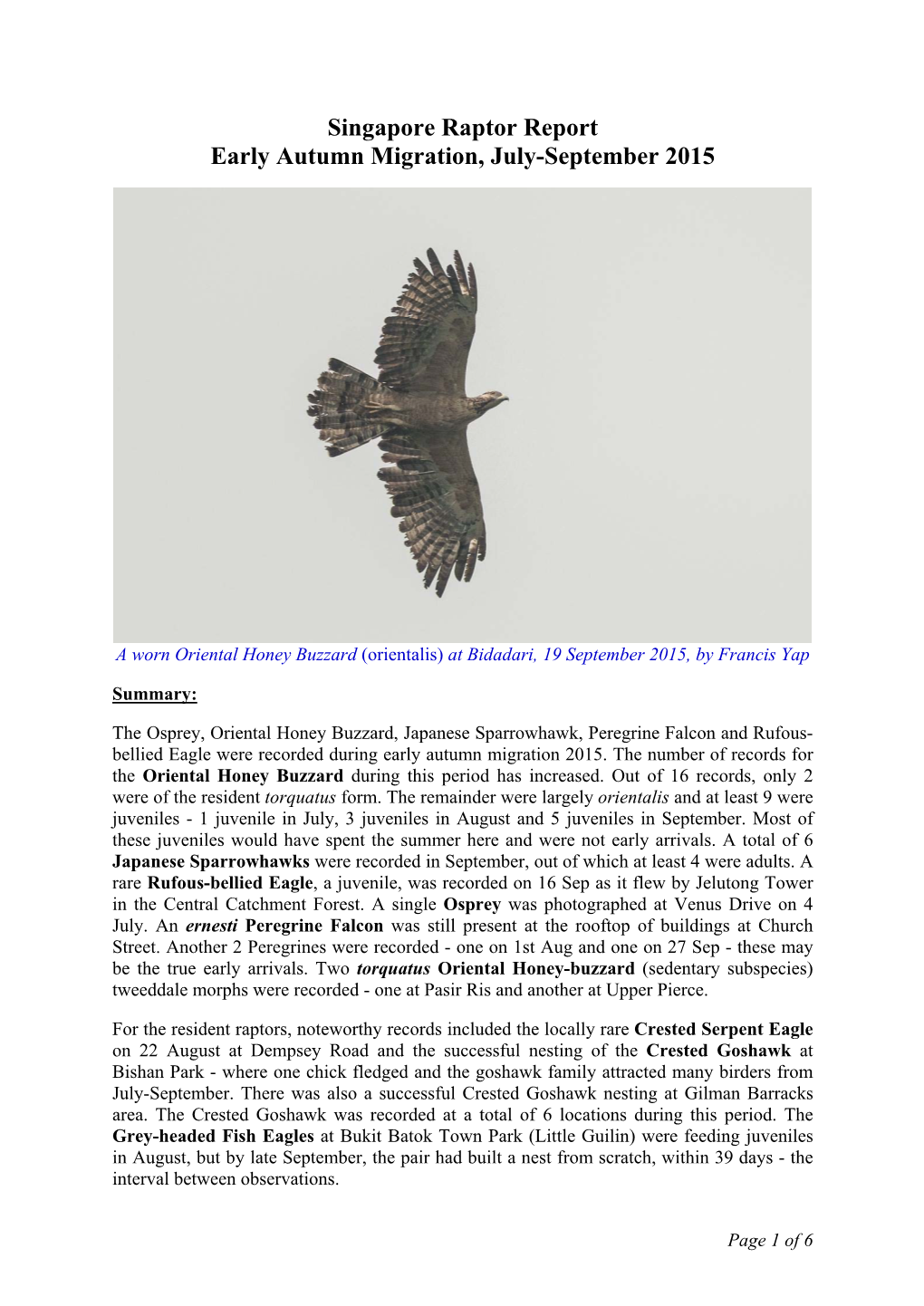 Singapore Raptor Report Early Autumn Migration, July-September 2015
