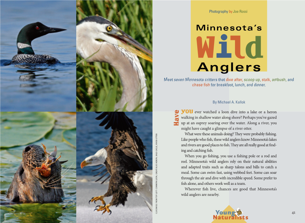 Minnesota's Wild Anglers