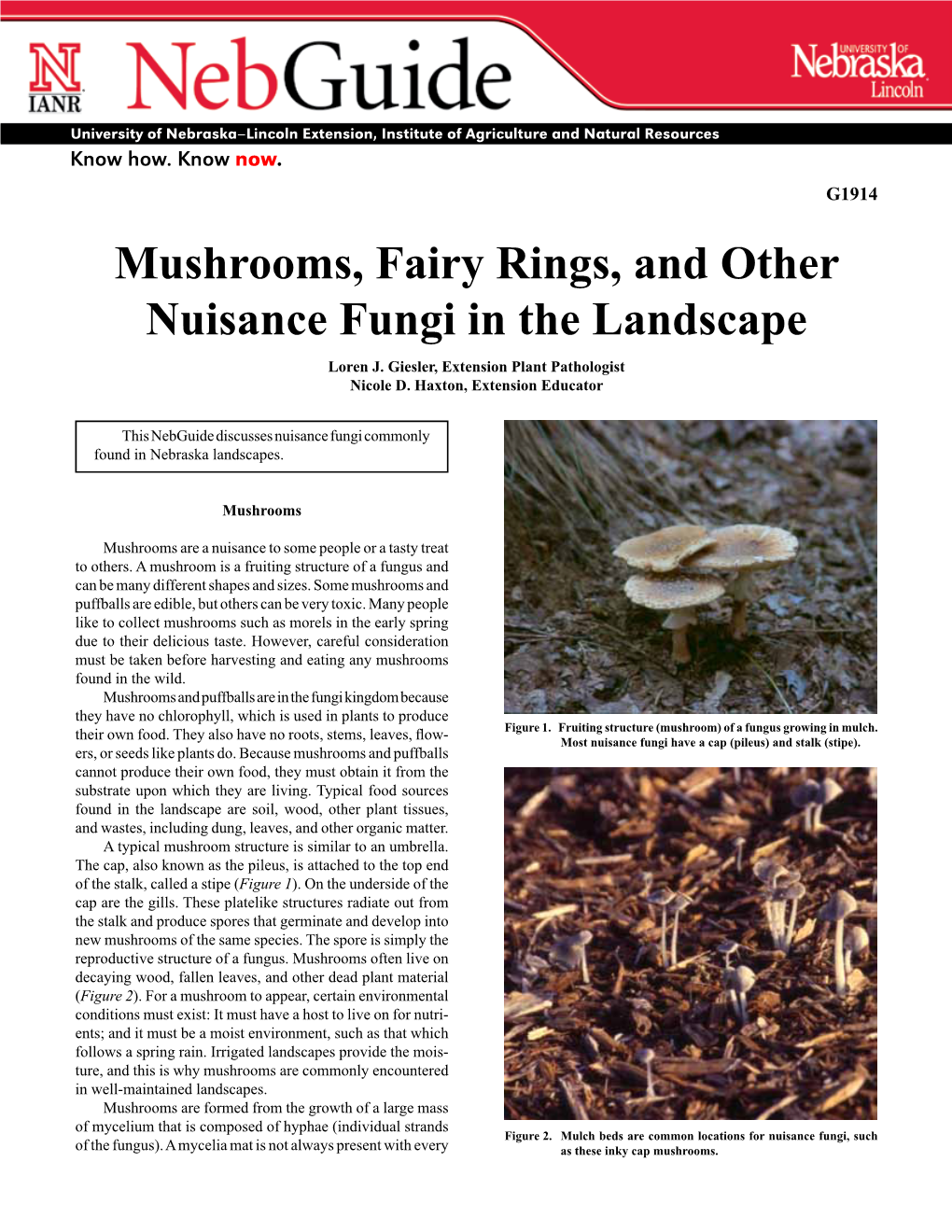 Mushrooms, Fairy Rings, and Other Nuisance Fungi in the Landscape Loren J