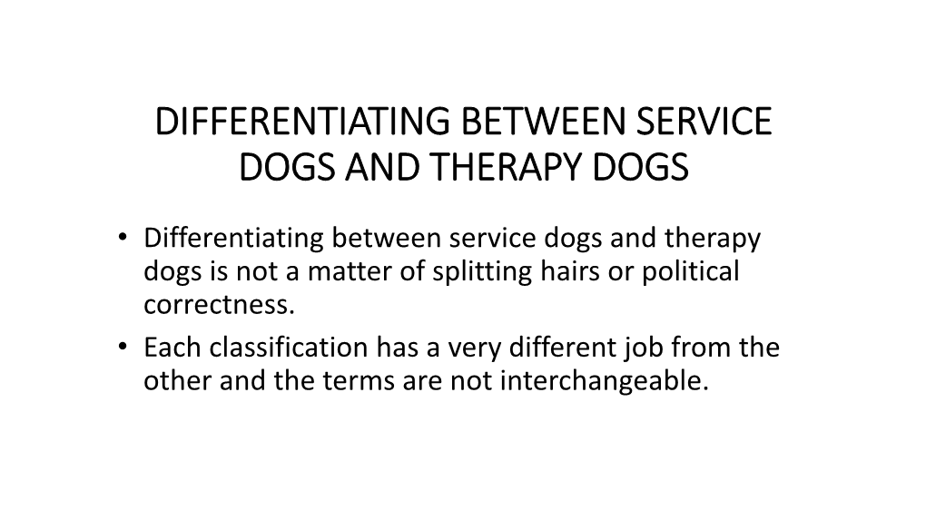 Differentiating Between Service Dogs, Therapy Dogs and Emotional Support Animals