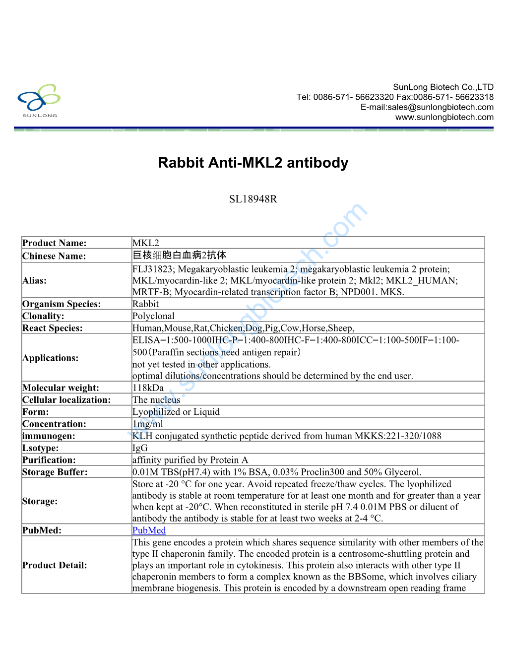 Rabbit Anti-MKL2 Antibody-SL18948R