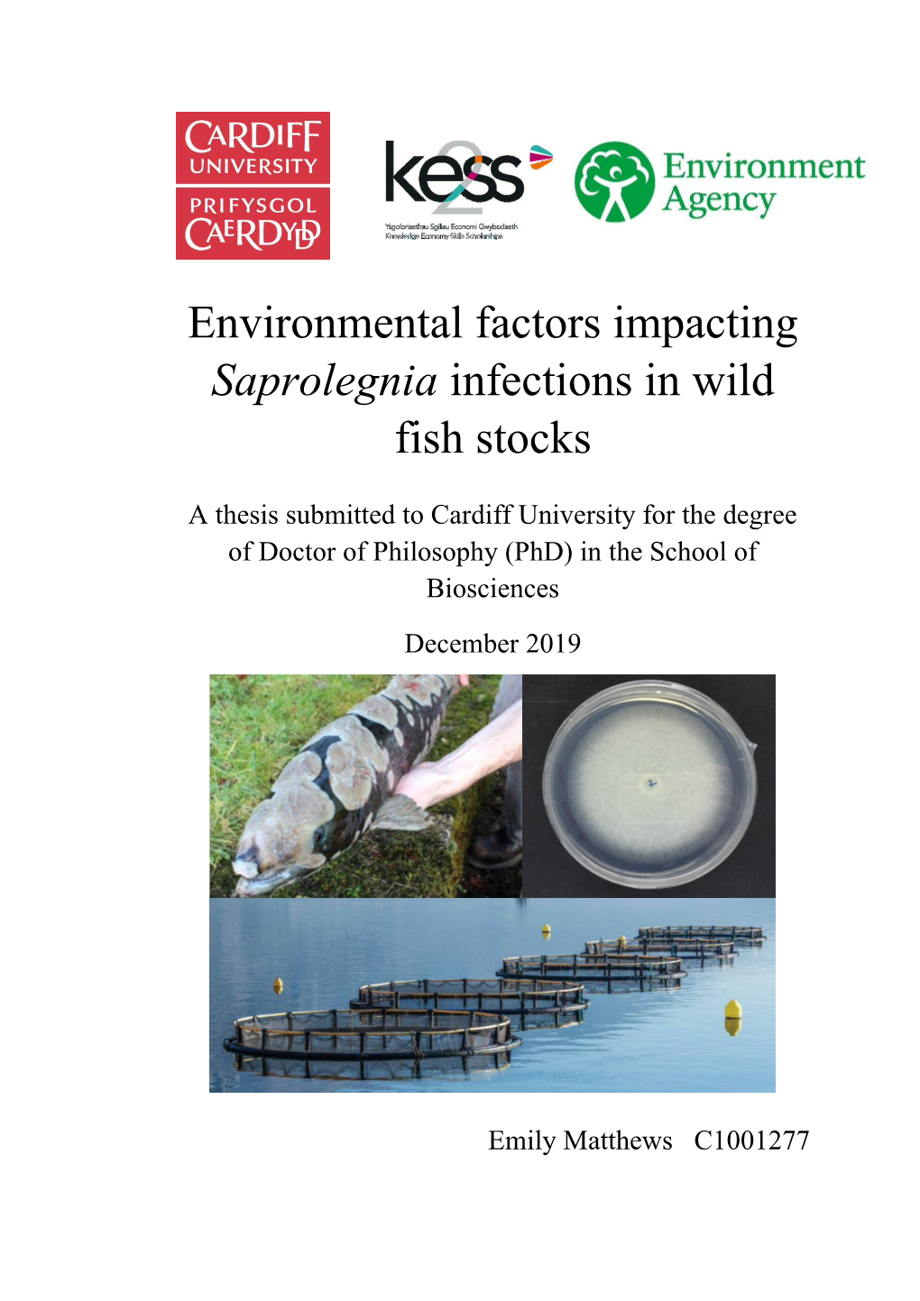 Environmental Factors Impacting Saprolegnia Infections in Wild Fish