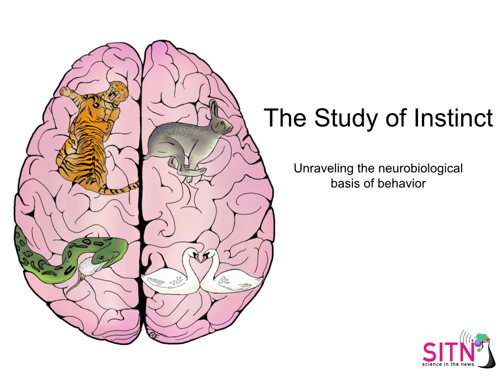 The Study of Instinct