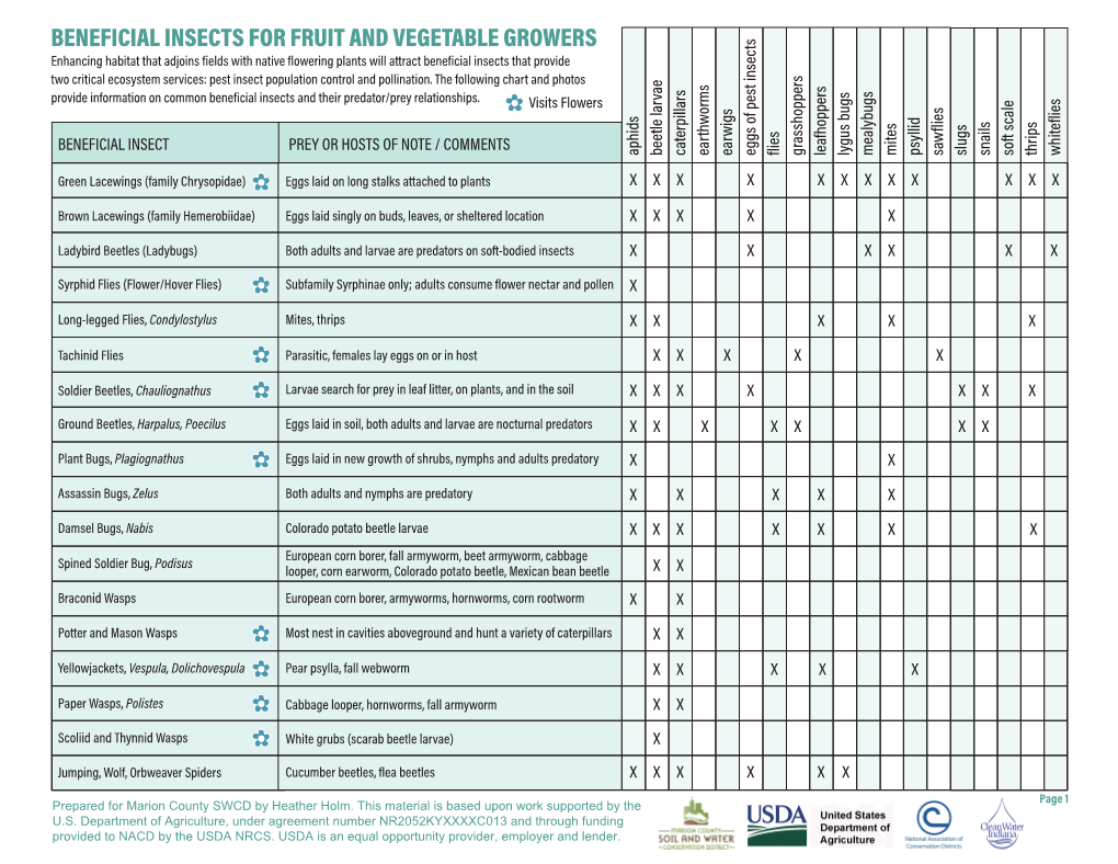 Beneficial Insects for Fruit and Vegetable Growers