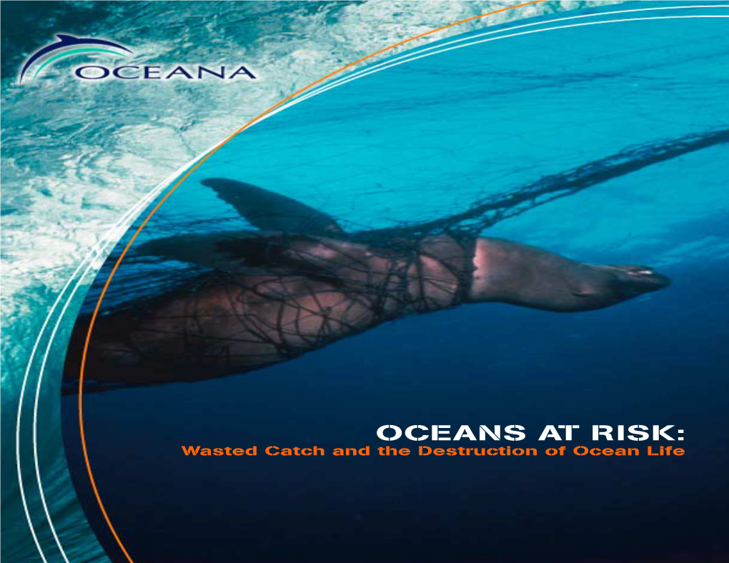 OCEANS at RISK: Wasted Catch and the Destruction of Ocean Life