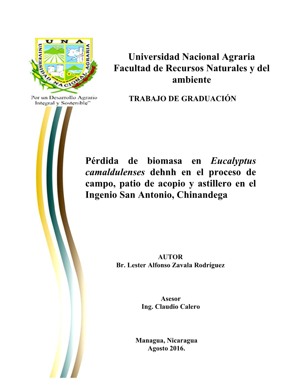 Pérdida De Biomasa En Eucalyptus Camaldulenses Dehnh En El Proceso De Campo, Patio De Acopio Y Astillero En El Ingenio San Antonio, Chinandega