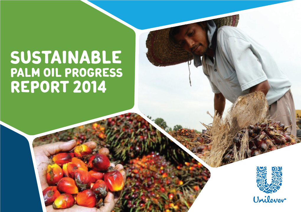 Unilever Sustainable Palm Oil Progress Report 2014