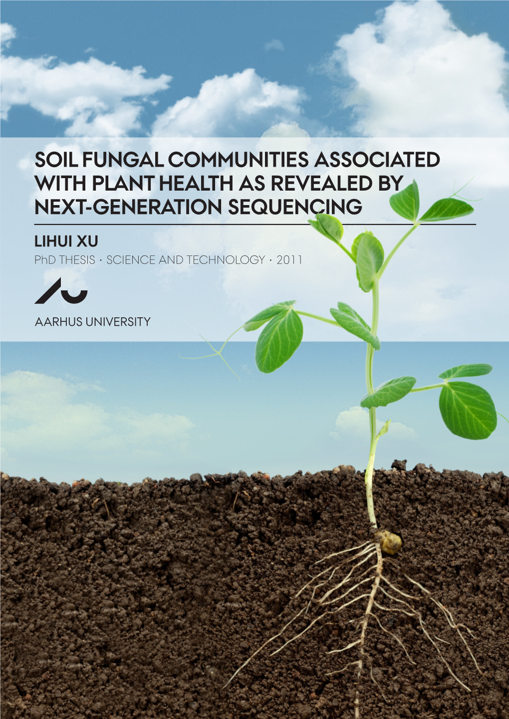 Soil Fungal Communities Associated with Plant Health As Revealed By