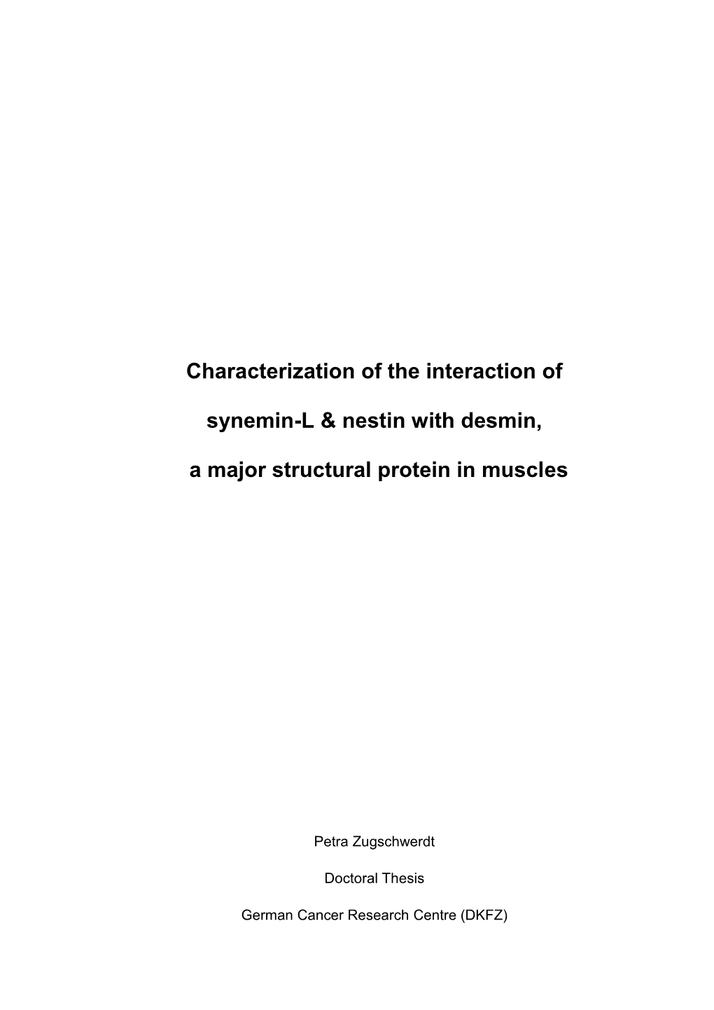 Characterization of the Interaction of Synemin-L & Nestin with Desmin, a Major Structural Protein in Muscles