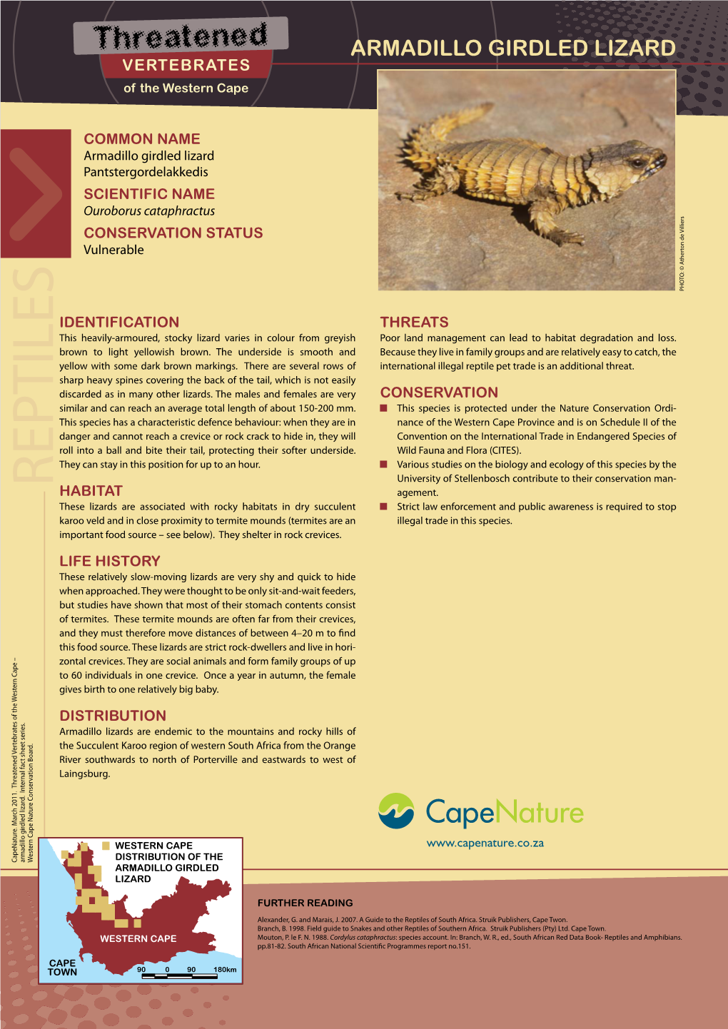 ARMADILLO GIRDLED LIZARD VERTEBRATES of the Western Cape