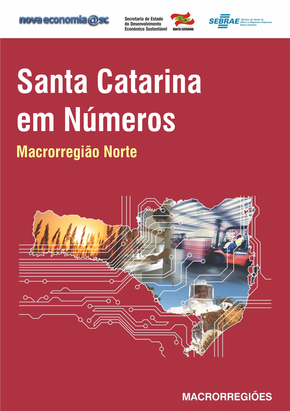 Santa Catarina Em Números Macrorregião Norte
