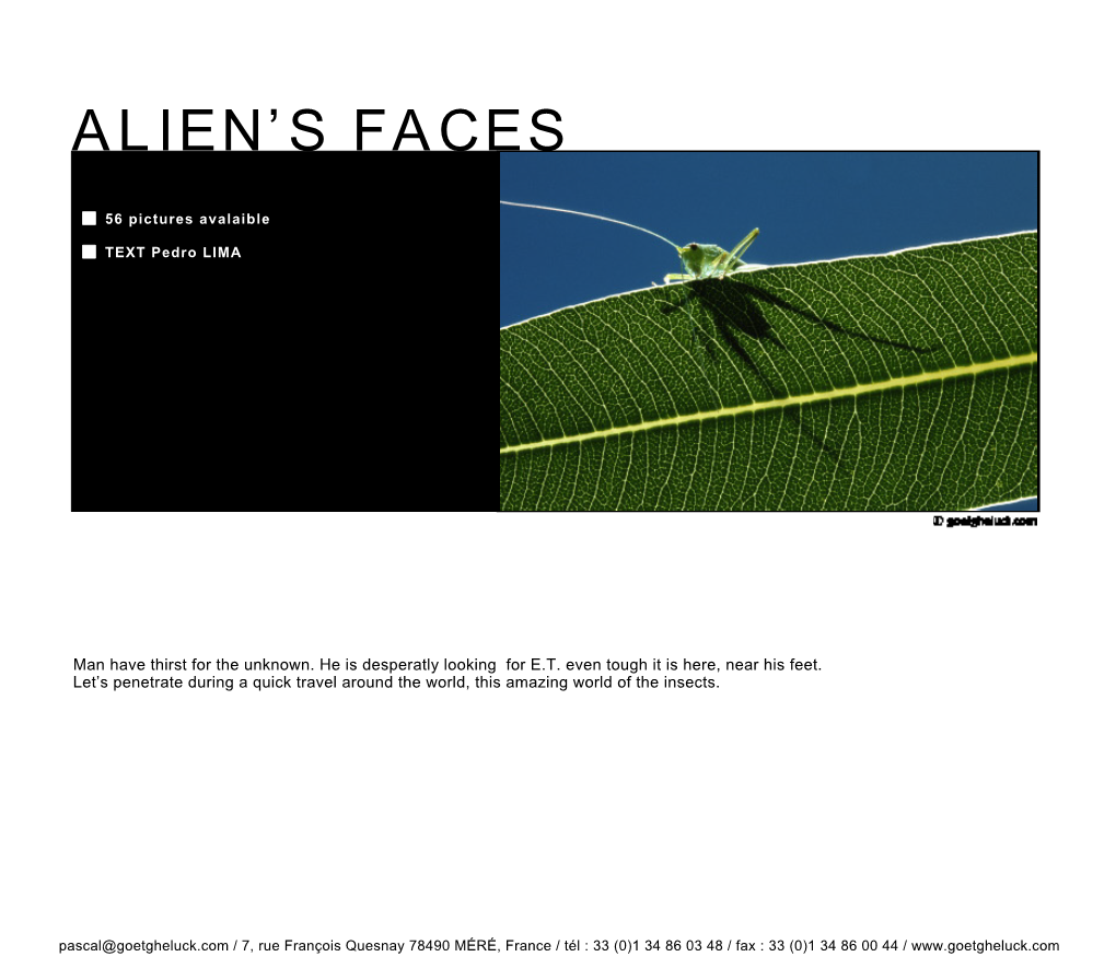 Alien's Faces