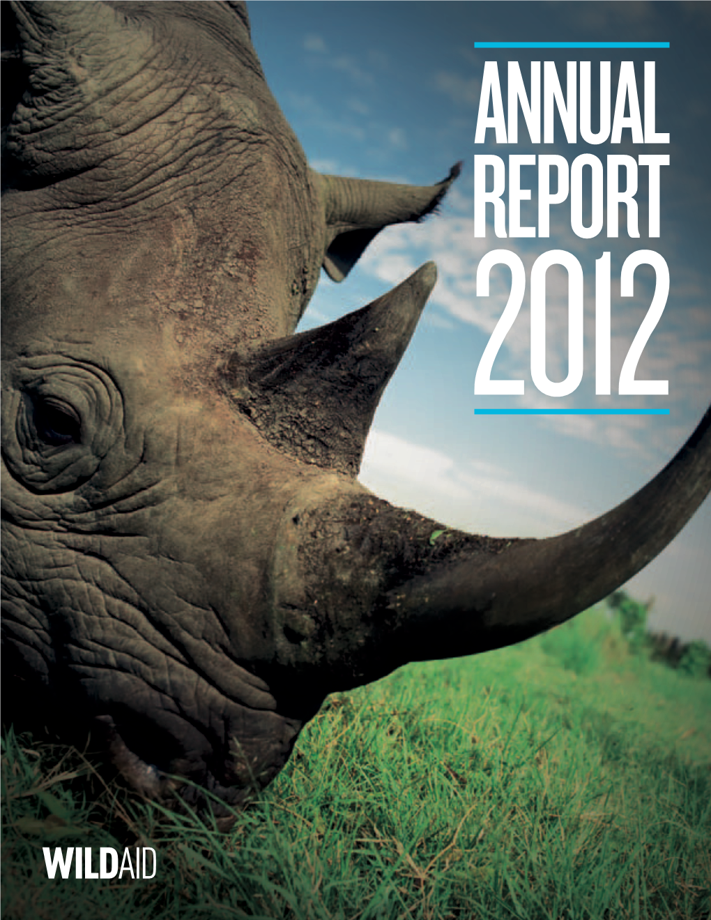 2012 Annual Report