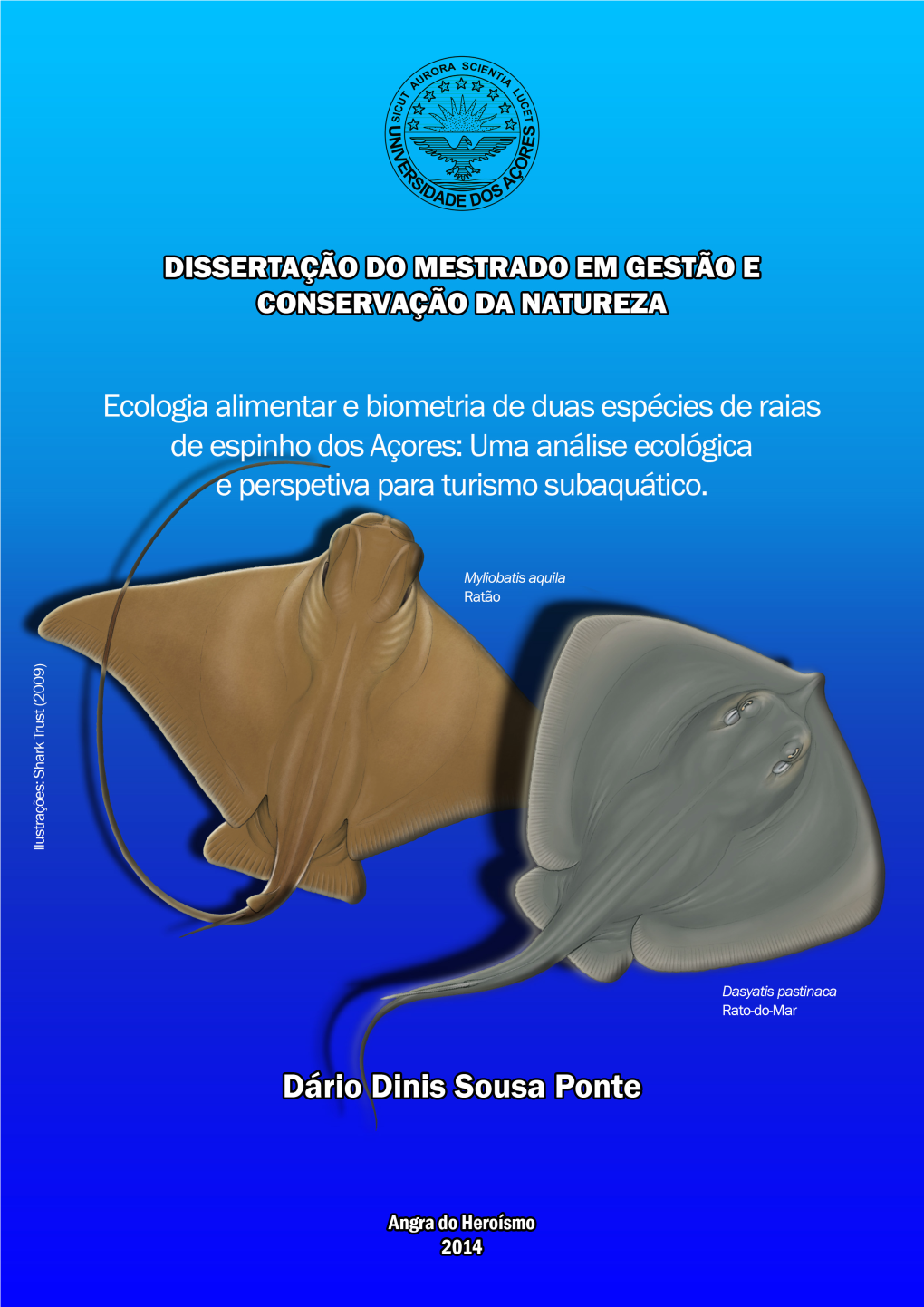 Ecologia Alimentar E Biometria De Duas Espécies De Raias De Espinho Dos Açores: Uma Análise Ecológica E Perspetiva Para Turismo Subaquático