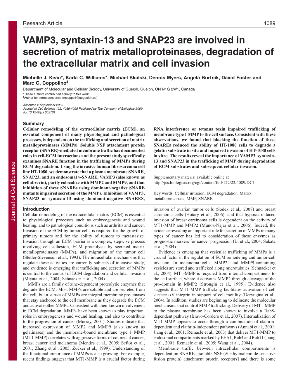 VAMP3, Syntaxin-13 and SNAP23 Are Involved in Secretion of Matrix Metalloproteinases, Degradation of the Extracellular Matrix and Cell Invasion