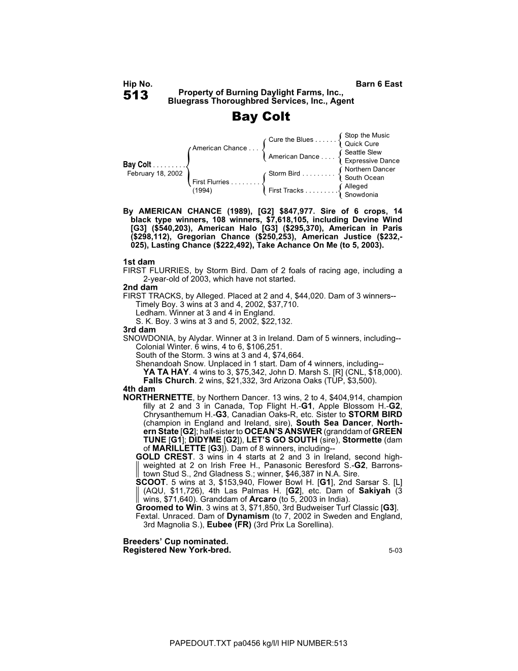 513 Bluegrass Thoroughbred Services, Inc., Agent Bay Colt