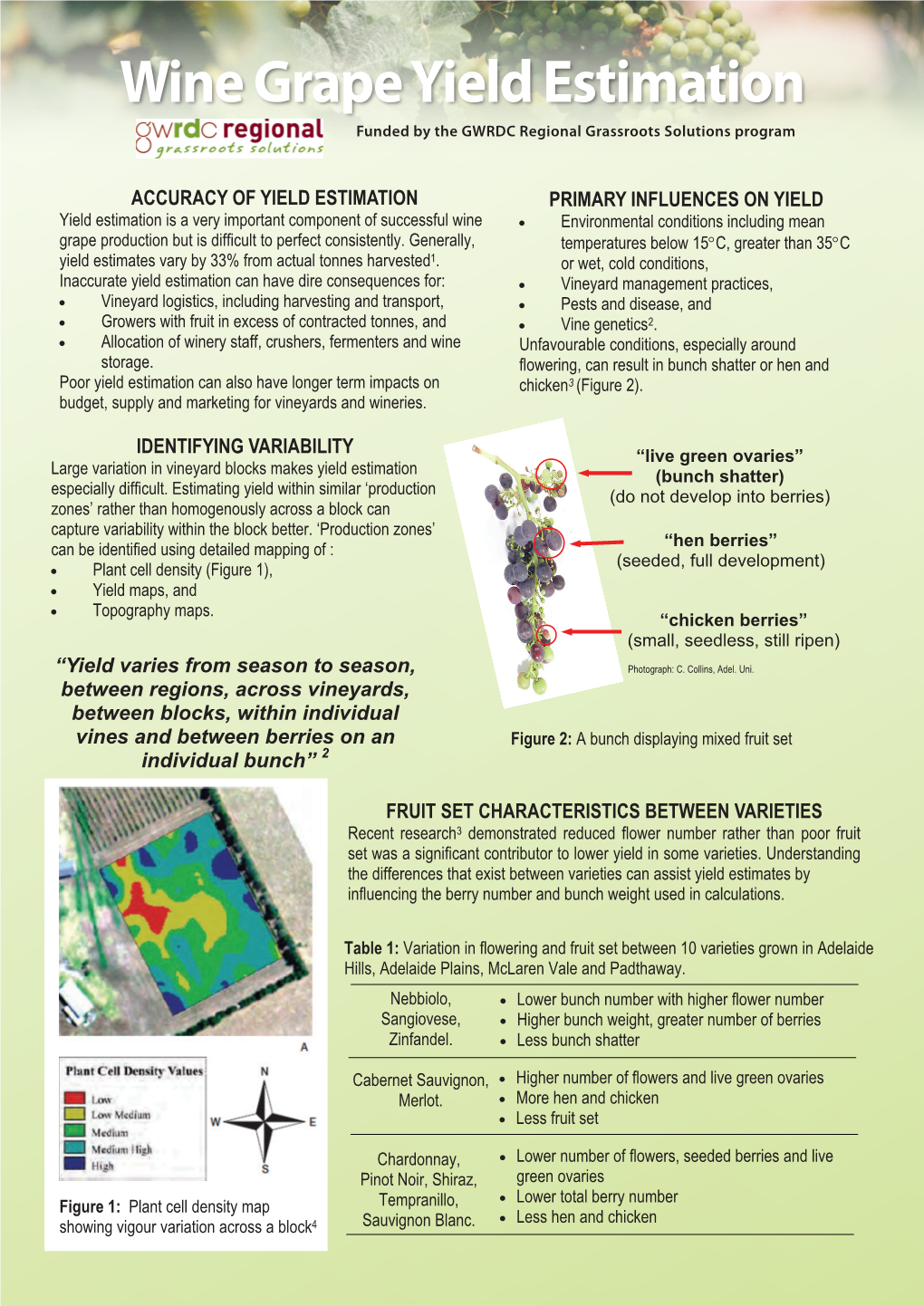 Wine Grape Yield Estimation Funded by the GWRDC Regional Grassroots Solutions Program