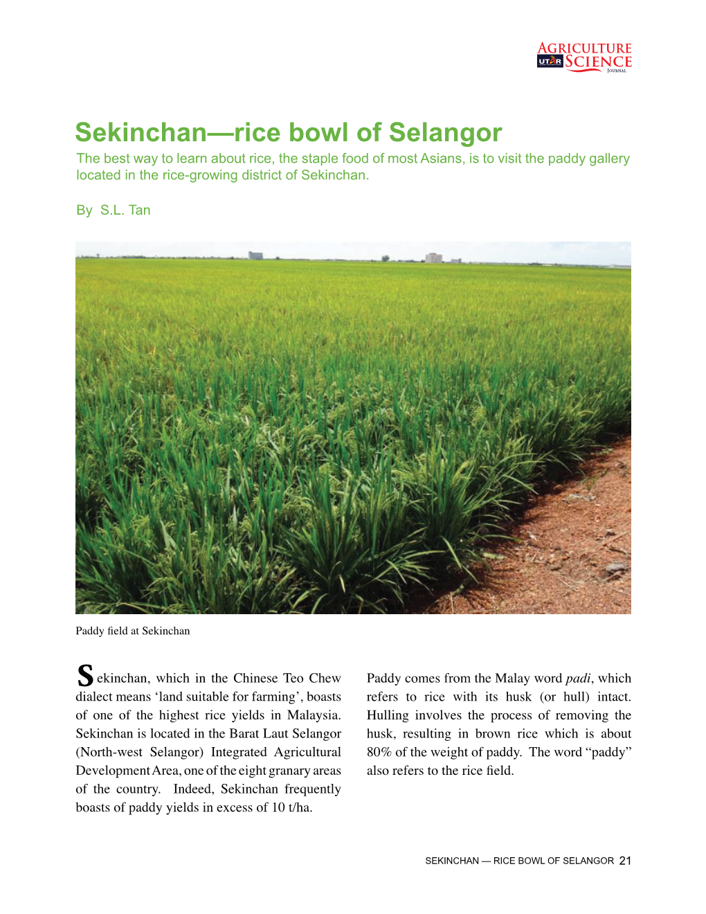 Sekinchan—Rice Bowl of Selangor