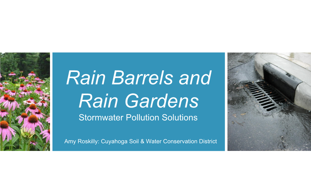Rain Barrels and Rain Gardens