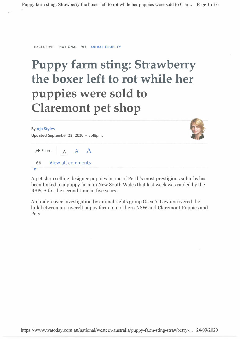 Puppy Farm Sting: Straw-Berry the Boxer Left to Rot W-Hileher Puppies W-Eresold to Claretnontpet Shop