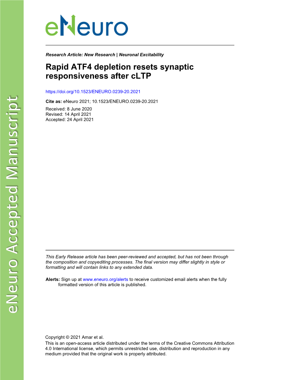 Rapid ATF4 Depletion Resets Synaptic Responsiveness After Cltp