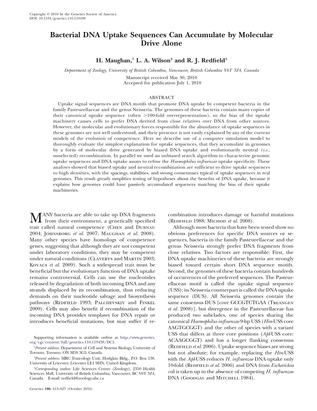 Bacterial DNA Uptake Sequences Can Accumulate by Molecular Drive Alone