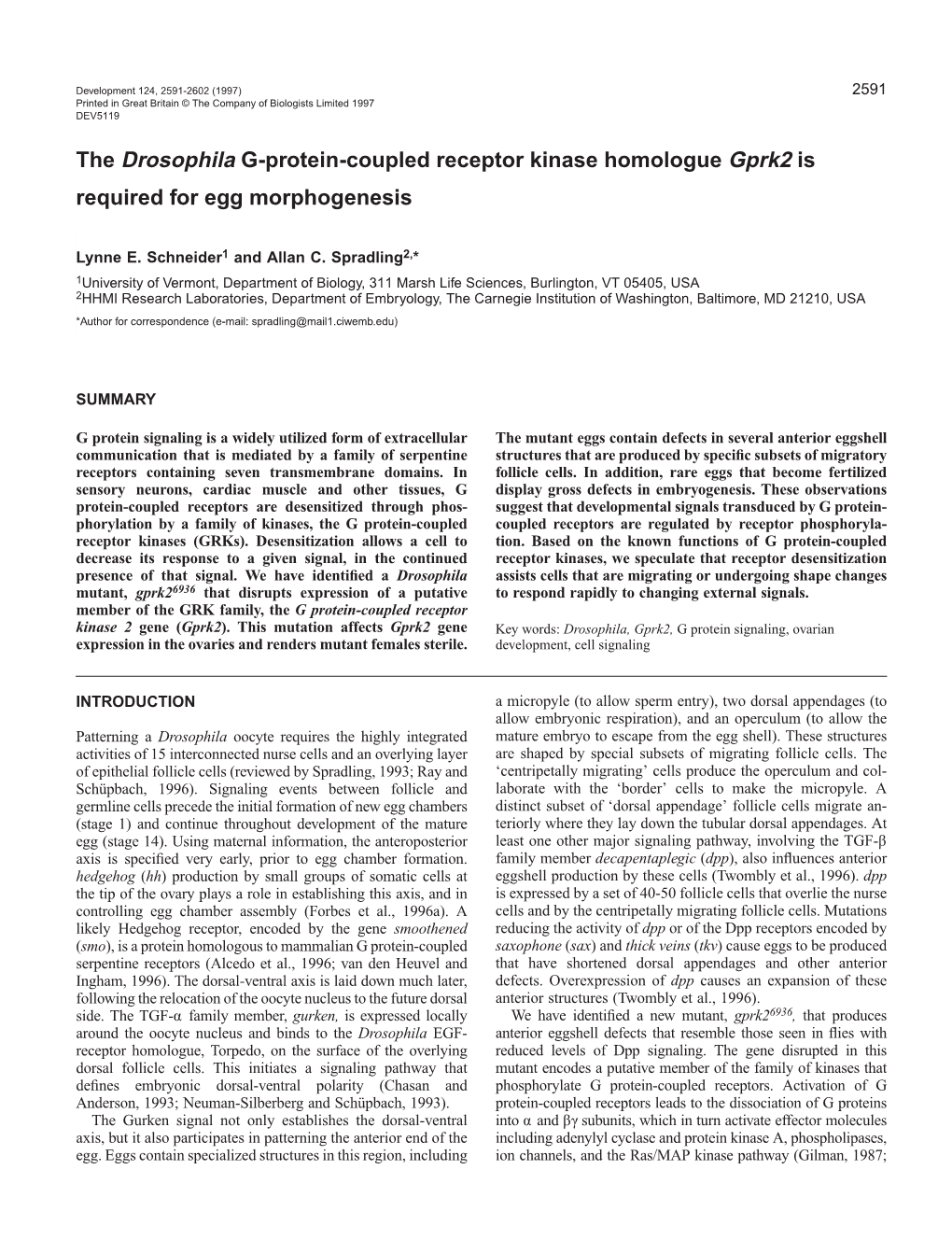 The Drosophila G-Protein-Coupled Receptor Kinase Homologue Gprk2 Is Required for Egg Morphogenesis