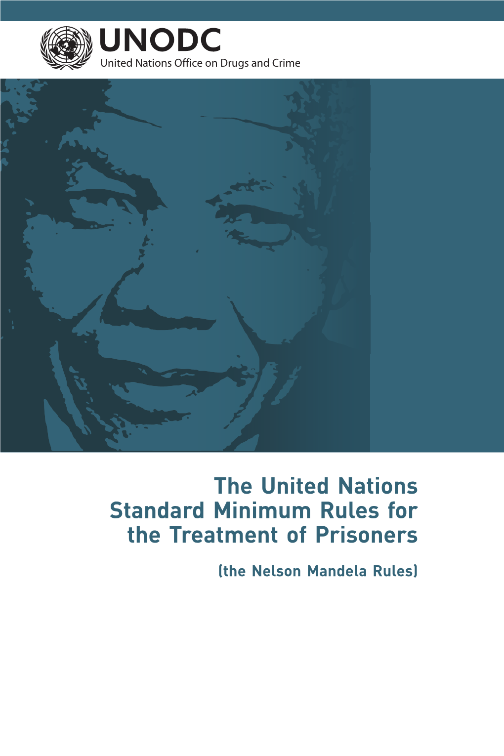 Nelson Mandela Rules) This Publication Has Been Made Possible Thanks to a Contribution from the Government of Germany