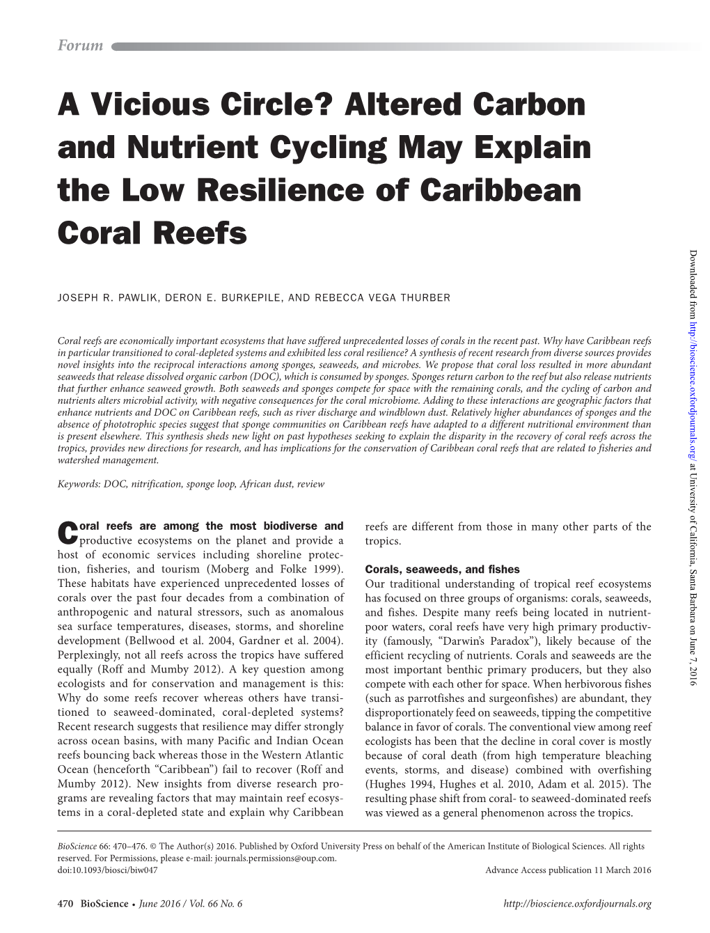 Altered Carbon and Nutrient Cycling May Explain the Low Resilience of Caribbean