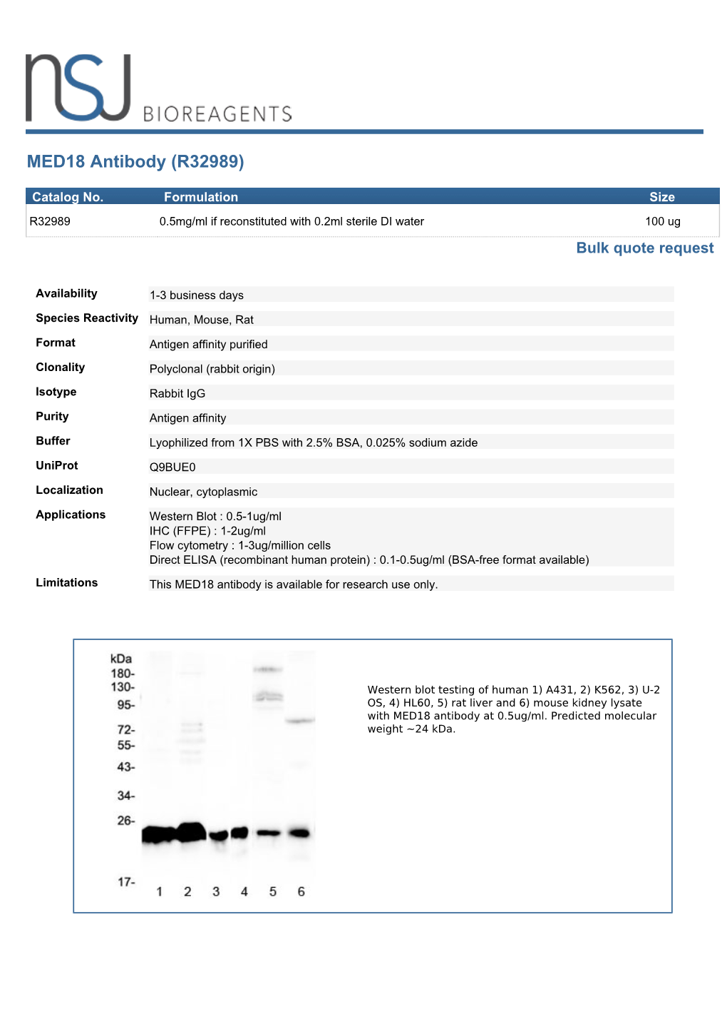 MED18 Antibody (R32989)