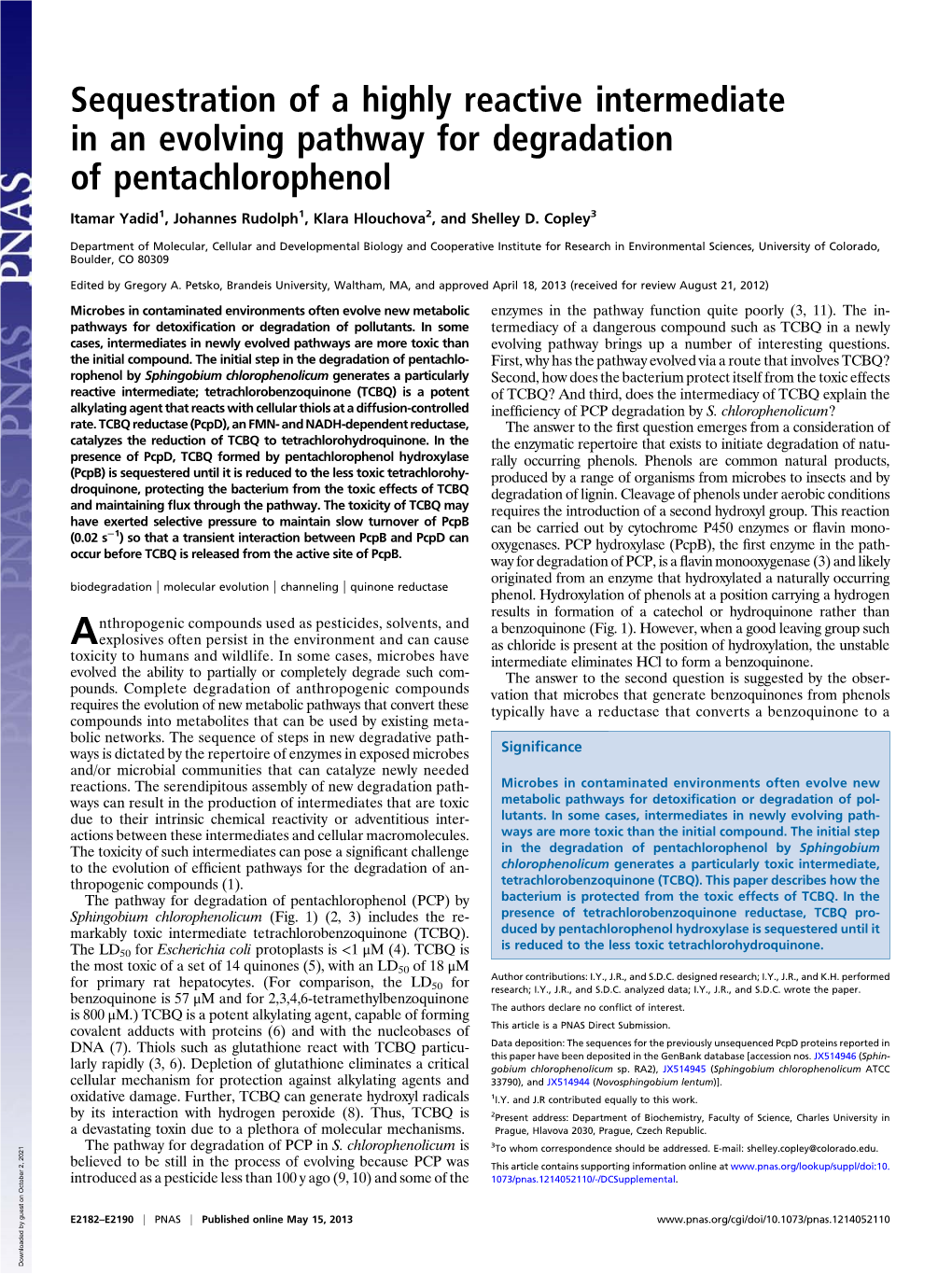 Sequestration of a Highly Reactive Intermediate in an Evolving Pathway for Degradation of Pentachlorophenol