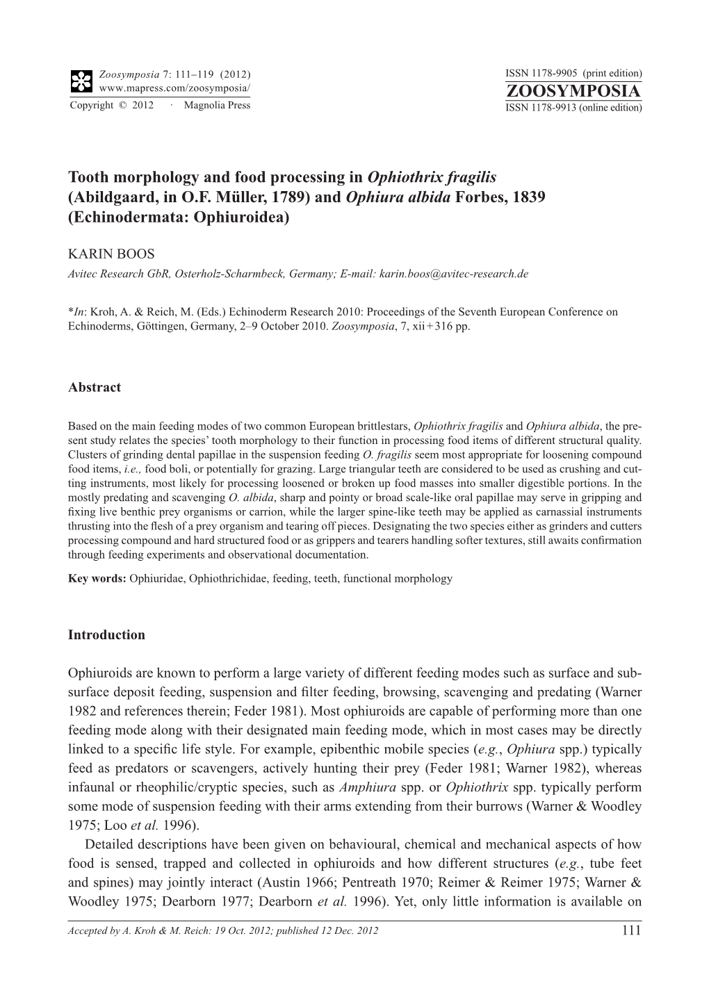 Tooth Morphology and Food Processing in Ophiothrix Fragilis (Abildgaard, in O.F