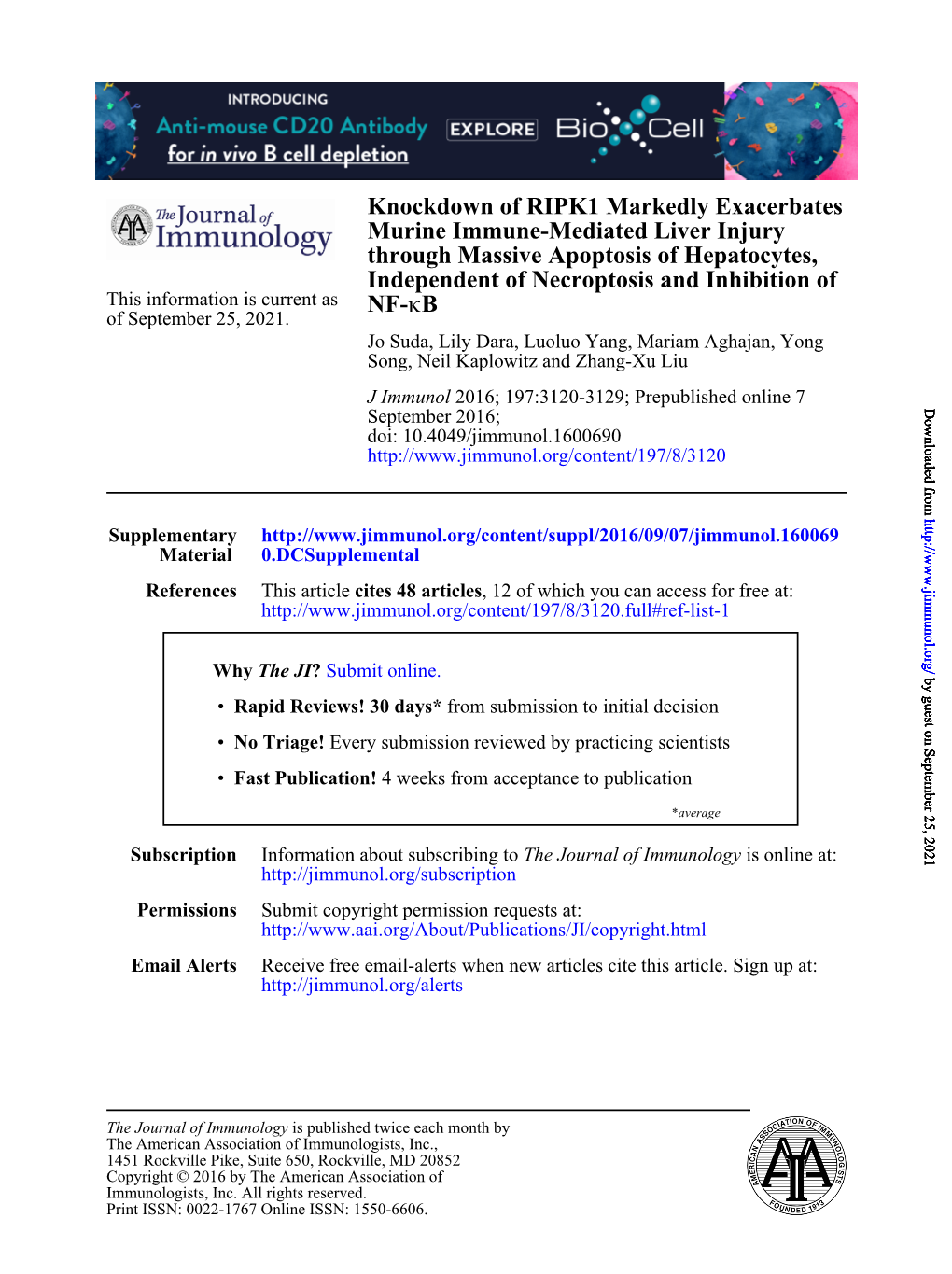 Knockdown of RIPK1 Markedly Exacerbates Murine Immune