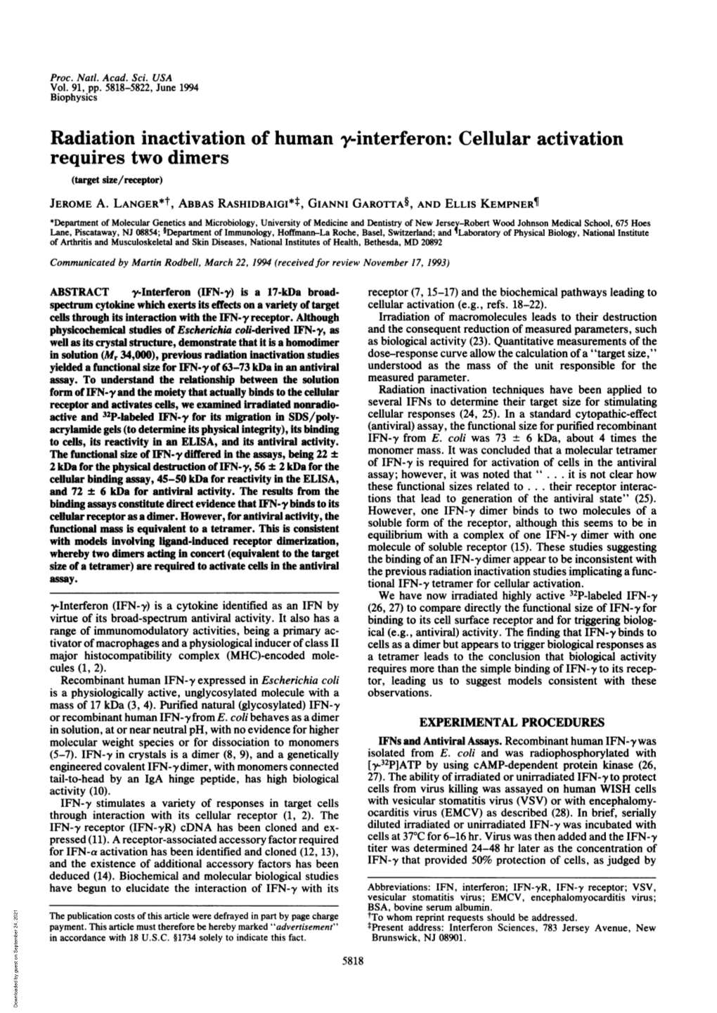 Radiation Inactivation of Human Y-Interferon: Cellular Activation Requires Two Dimers (Target Size/Receptor) JEROME A