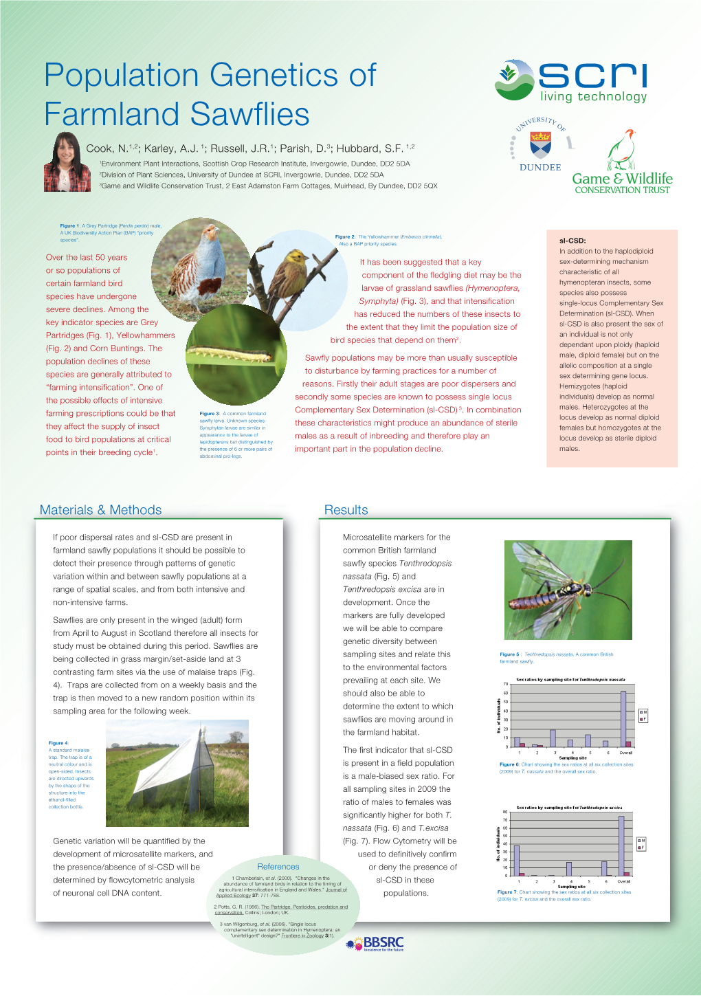 Population Genetics of Farmland Sawflies