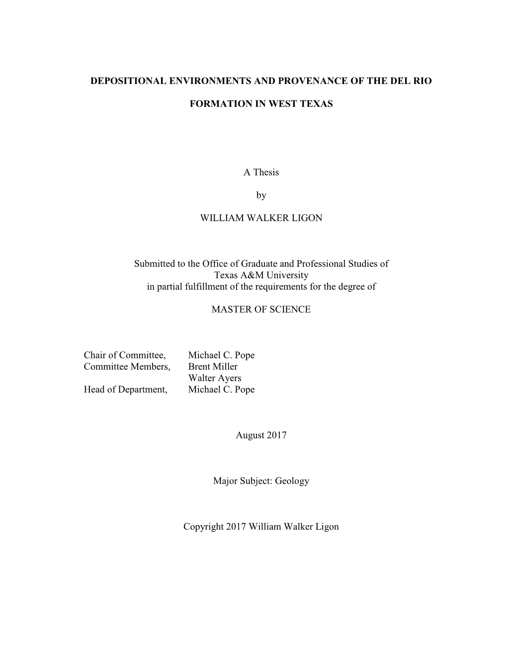 Depositional Environments and Provenance of the Del Rio