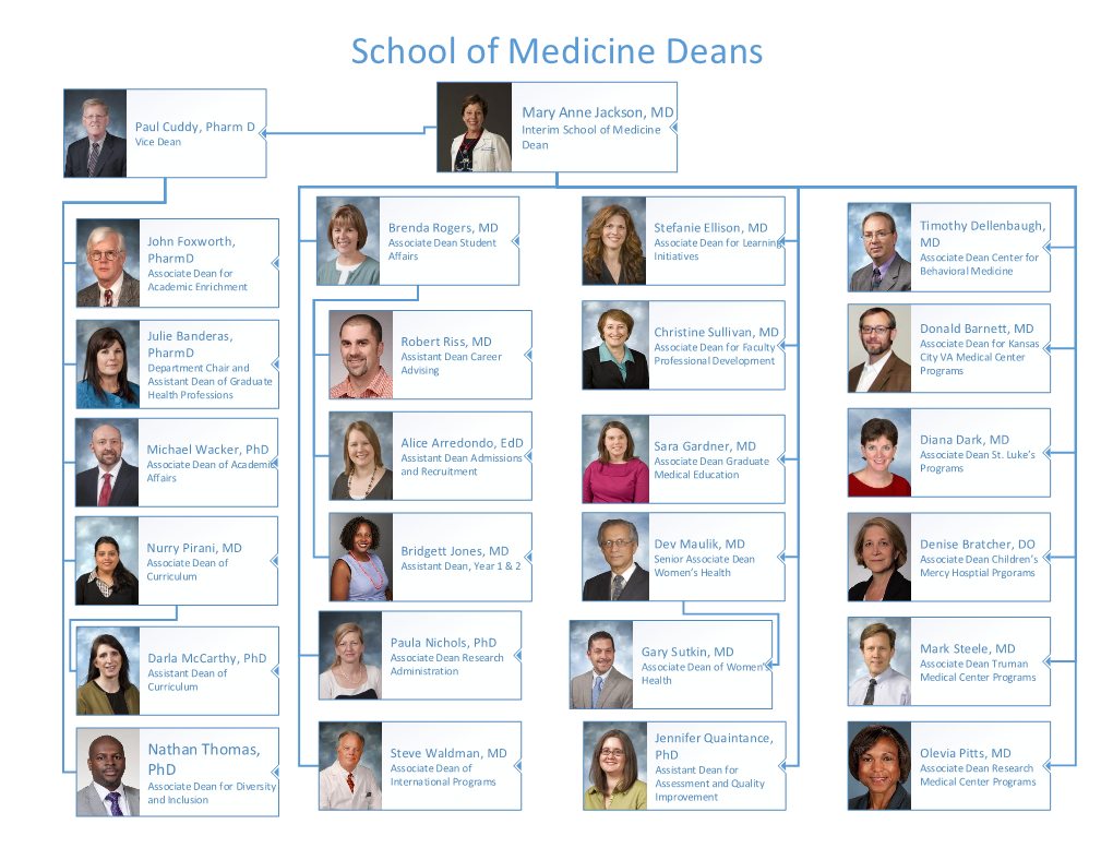 School of Medicine Organizational Chart