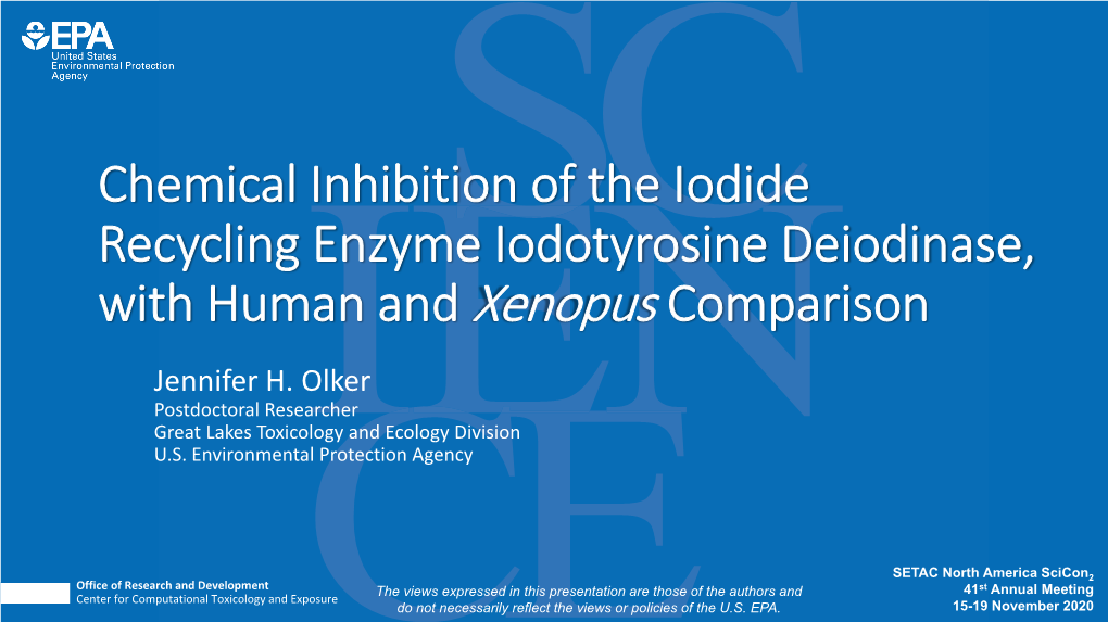 Chemical Inhibition of the Iodide Recycling Enzyme Iodotyrosine Deiodinase, with Human and Xenopus Comparison
