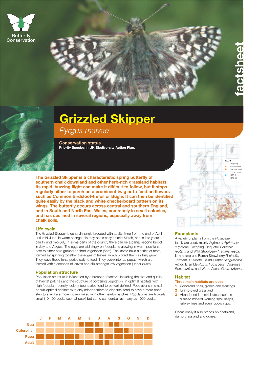 Grizzled Skipper Priority Species Factsheet
