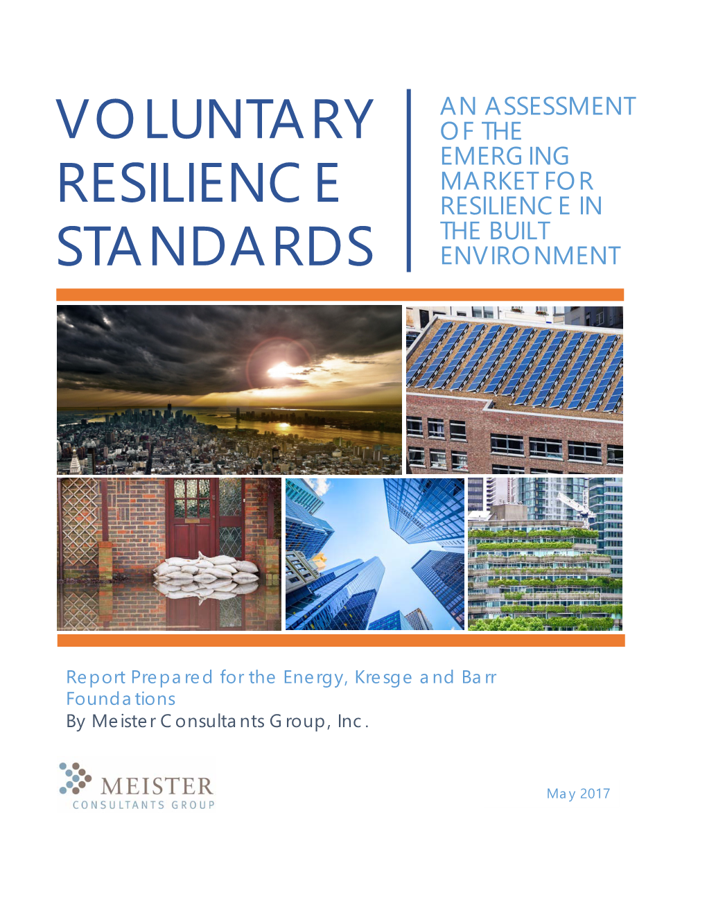 Voluntary Resilience Standards (For Detailed Descriptions of Each Standard, See Appendix A)