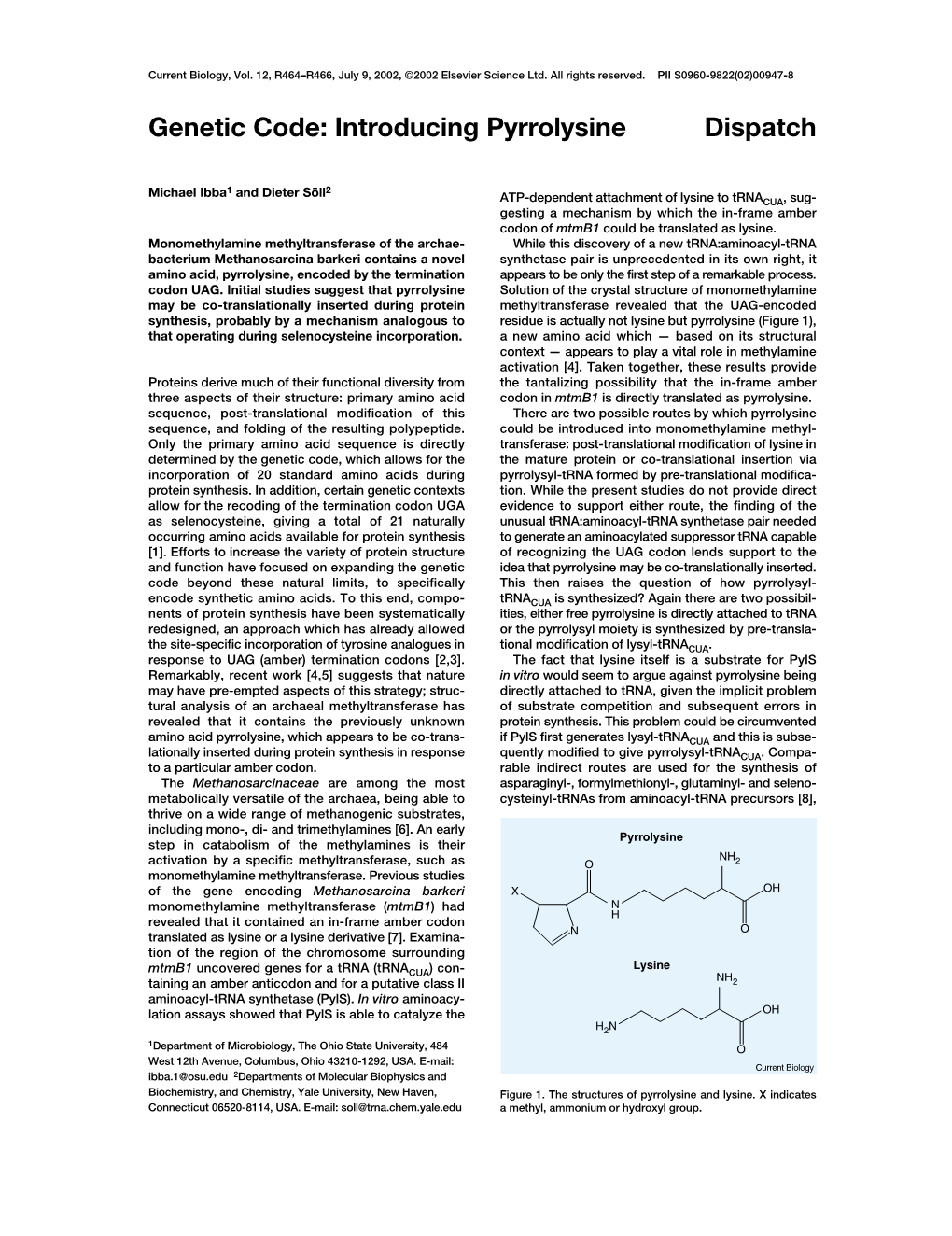 Genetic Code: Introducing Pyrrolysine Dispatch