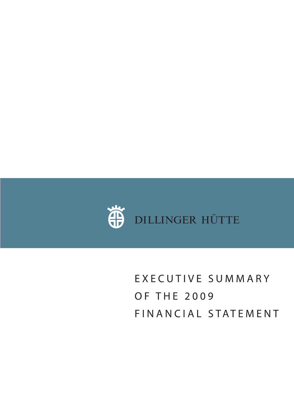 Executive Summary of the 2009 Financial Statement