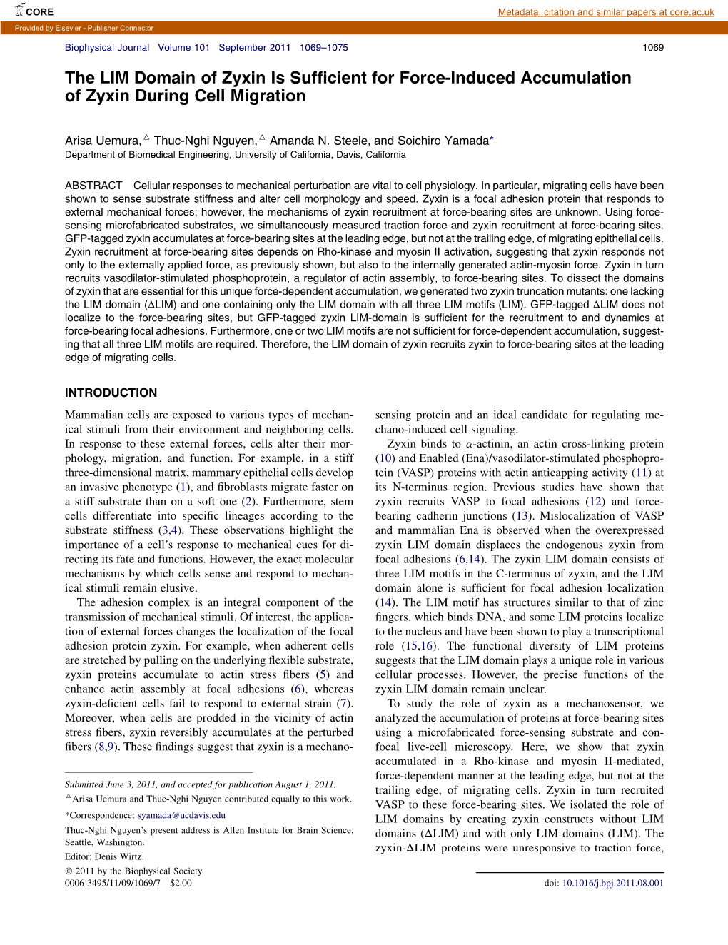 The LIM Domain of Zyxin Is Sufficient for Force-Induced Accumulation Of