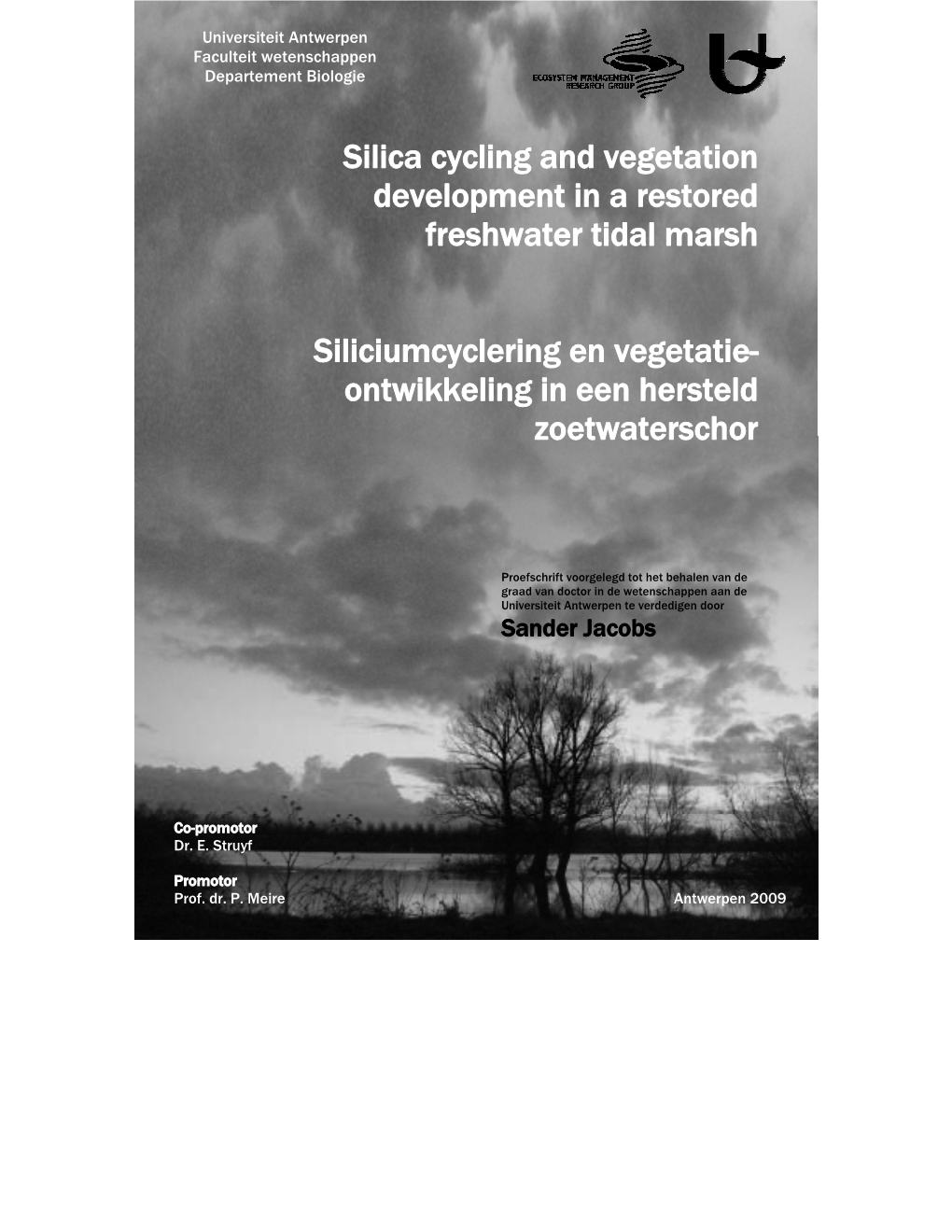 Silica Cycling and Vegetation Development in a Restored Freshwater Tidal Marsh