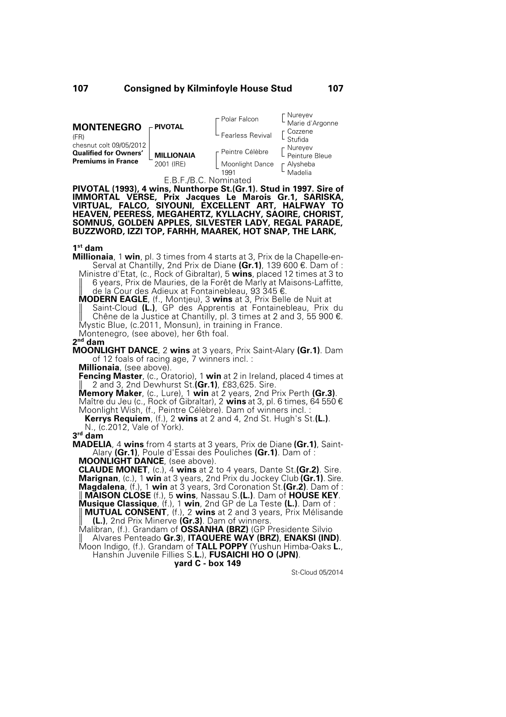 107 Consigned by Kilminfoyle House Stud 107 MONTENEGRO