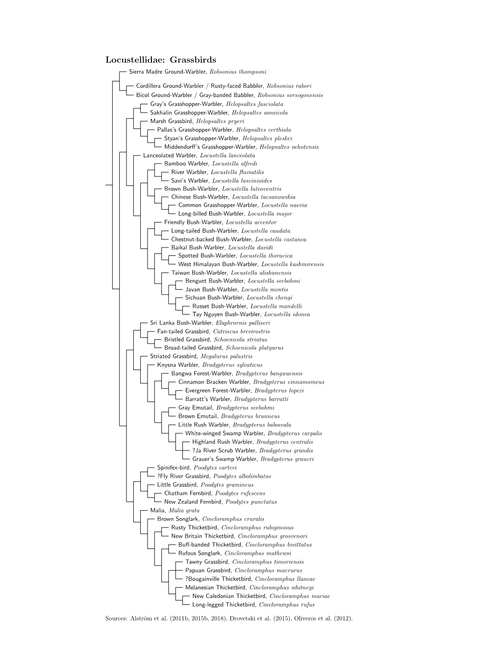 Locustellidae Species Tree