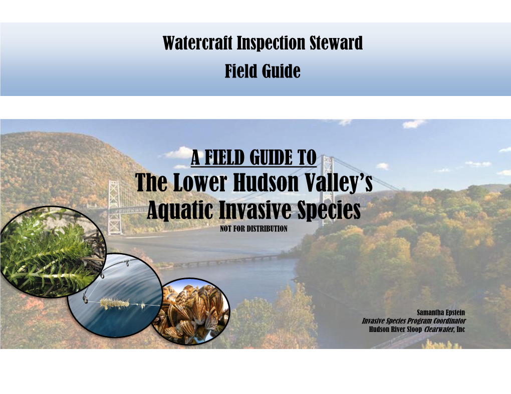 The Lower Hudson Valley's Aquatic Invasive Species